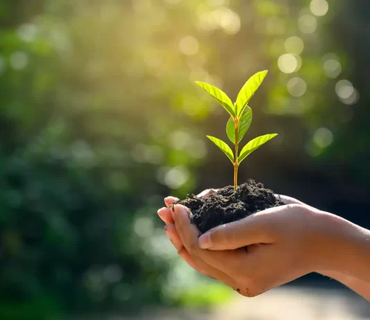 ECLAC calls for a greener, fairer transition in Latin America