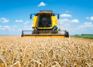 The UN highlights the importance of the “Food Pact”