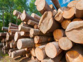 Canada to challenge U.S. softwood lumber duties under Canada-United States-Mexico Agreement