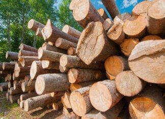 Canada to challenge U.S. softwood lumber duties under Canada-United States-Mexico Agreement