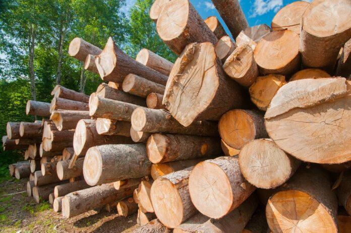 softwood-lumber-dispute-cover