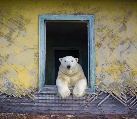 Dormirlo o eliminarlo