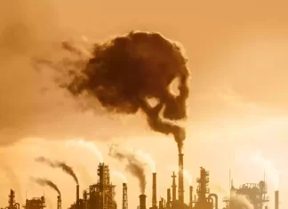 World Bank warns of the economic and social cost of climate change