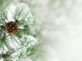 Inician acciones ante la llegada del invierno