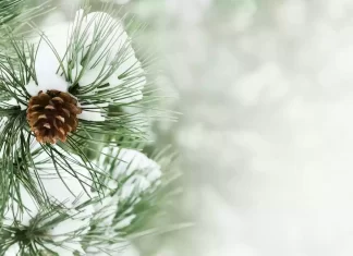 Inician acciones ante la llegada del invierno