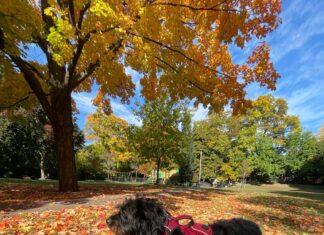 Del terror…al amor