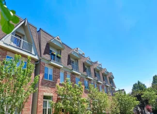 La historia del señor sin crédito