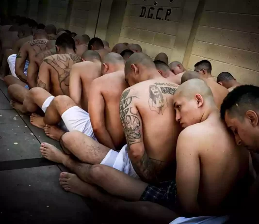 El Salvador 2022: la controversia en la guerra contra las pandillas