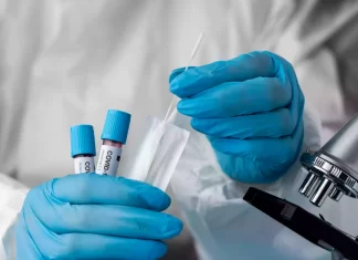 Información actualizada sobre el Plan de Transición y Reubicación de Refugio COVID-19