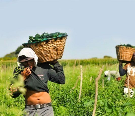 La trata laboral, un problema grave en Canadá