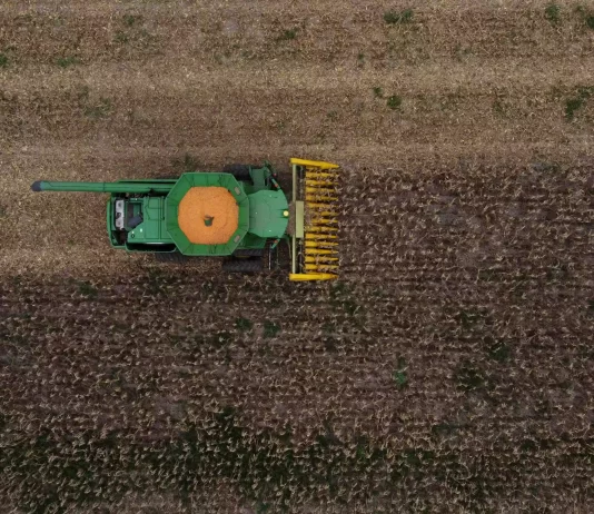 Global food prices down for 12th month running in March – FAO