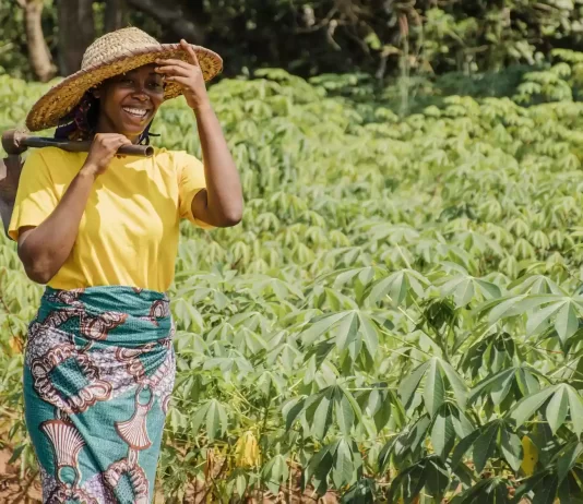 Women’s equality could end food insecurity, says FAO