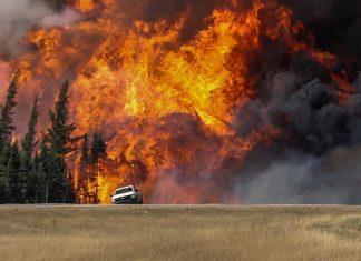 Estragos de incendios forestales en Canadá tienen en 2023 su peor año