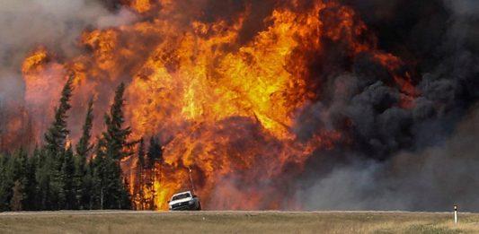 Estragos de incendios forestales en Canadá tienen en 2023 su peor año