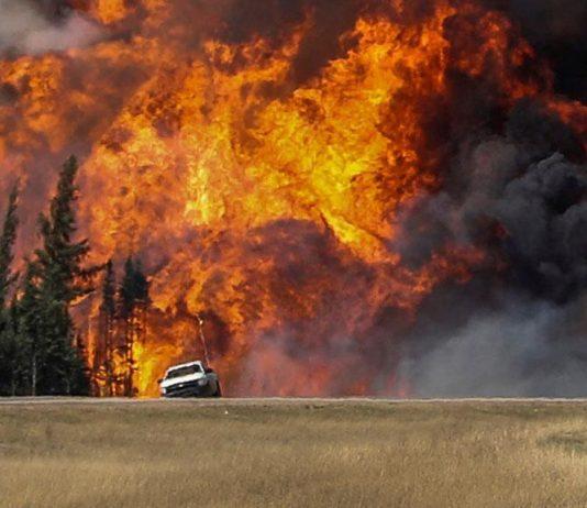 Estragos de incendios forestales en Canadá tienen en 2023 su peor año