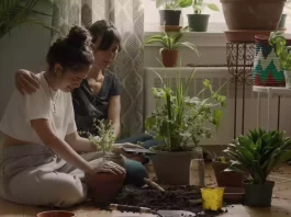 So Much Tenderness: un retrato cinematográfico al corazón de la inmigración
