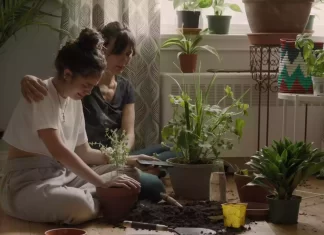 So Much Tenderness: un retrato cinematográfico al corazón de la inmigración