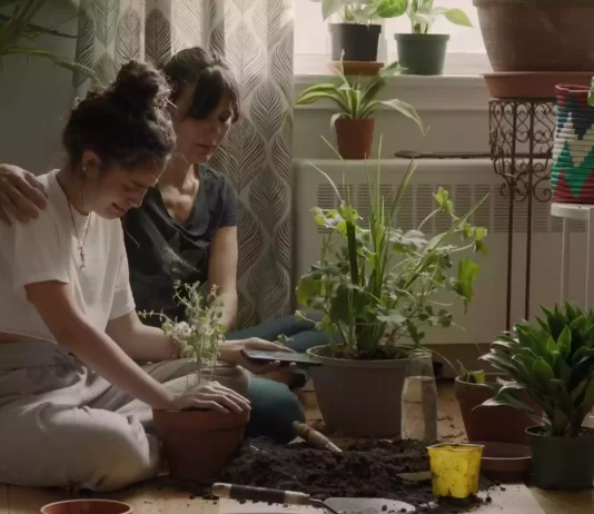 So Much Tenderness: un retrato cinematográfico al corazón de la inmigración