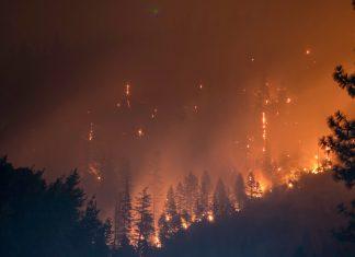 Cómo prevenir los incendios forestales en Canadá: medidas preventivas para proteger la vida