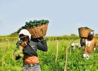 La trata laboral: un flagelo que afecta a la comunidad latinoamericana