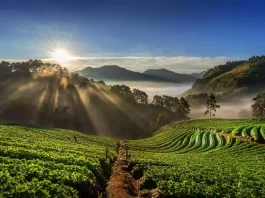 Los mejores destinos turísticos en el Eje Cafetero colombiano para disfrutar de una experiencia completa