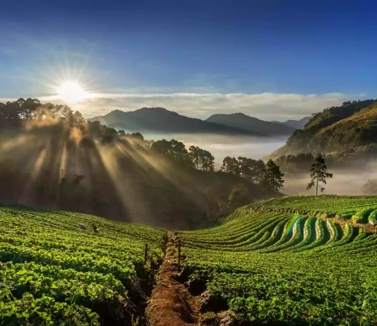 Los mejores destinos turísticos en el Eje Cafetero colombiano para disfrutar de una experiencia completa