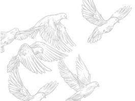 Nuestro medio, Correo Canadiense, lamenta el fallecimiento de Alejandro Morales Stagno, destacado activista de los derechos de la comunidad latinoamericana en Canadá.