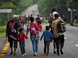 México: Migrantes irregulares, travesías y riesgos