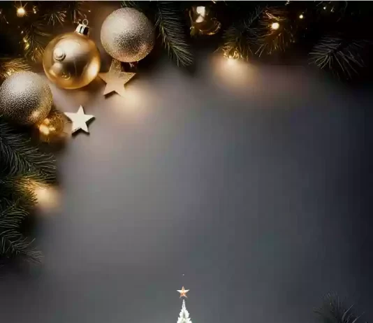 Analizando el sentido de la navidad