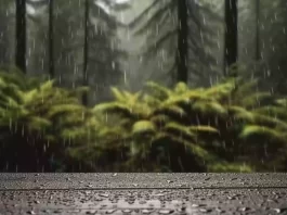 La máquina de hacer llover