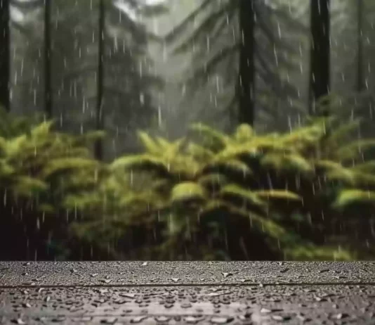 La máquina de hacer llover