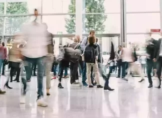 Seis grados de separación