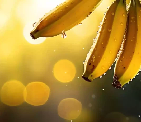 Beneficios de la fruta del plátano
