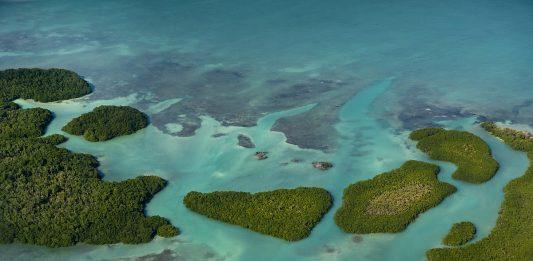 Ponen a la venta la última isla virgen de Riviera Maya