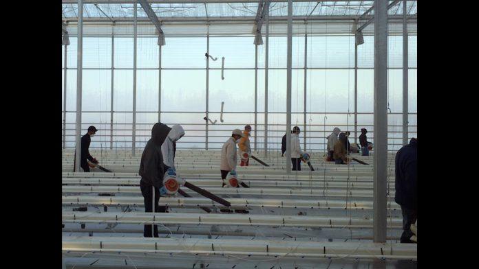 The_Canadian_Dream_Cortesia-de-Hot-Docs