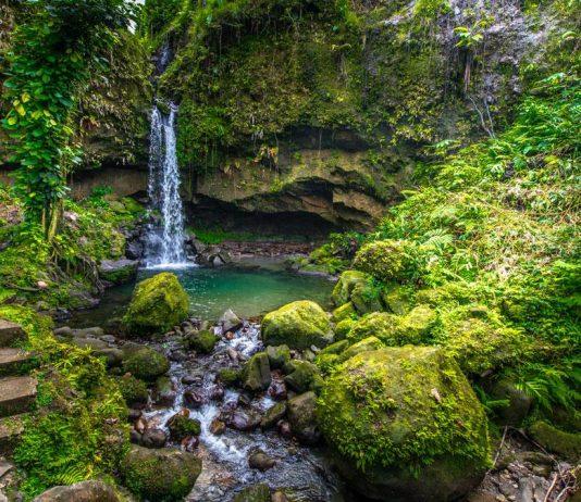 Atractivos naturales de Dominica: El Parque Nacional Morne Trois Pitons