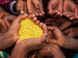 ONU: Una de cada 11 personas en el mundo enfrentó al hambre en 2023