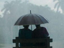 Toronto Internacional Film Festival 2024: Panorama Latinoamericano