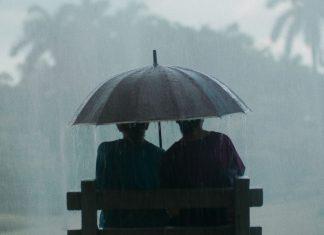 Toronto Internacional Film Festival 2024: Panorama Latinoamericano