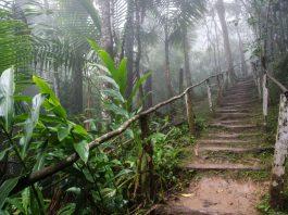 Un recorrido por la naturaleza del sur del oriente cubano