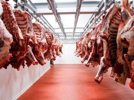 Dominicana incrementa exportación de carne bovina