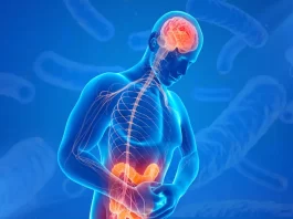Descifrando el impacto del microbioma en nuestra salud: el segundo cerebro