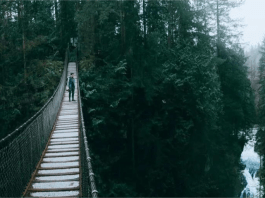 El Puente Colgante de Capilano: Una caminata sobre las copas de los árboles canadienses