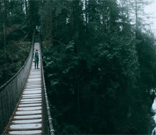 El Puente Colgante de Capilano: Una caminata sobre las copas de los árboles canadienses