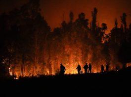 Chile. Larga y trágica historia de incendios forestales