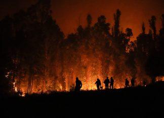 Chile. Larga y trágica historia de incendios forestales