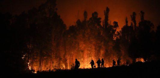 Chile. Larga y trágica historia de incendios forestales
