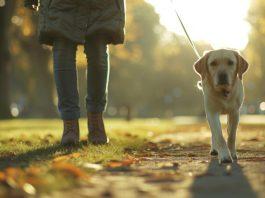 I know where you live