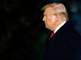 Trump. Días de caos y miedo