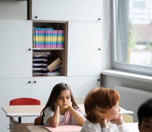 ¿Por qué destrozaron la calidad educativa?